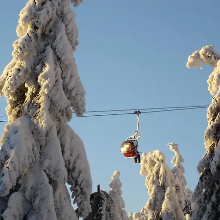 Im Fichtelgebirge 1