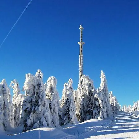 Im Fichtelgebirge 1 Apartment Warmensteinach